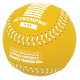 Clearance Sale Champro Sports Weighted Training Softballs: CSB709-CSB712